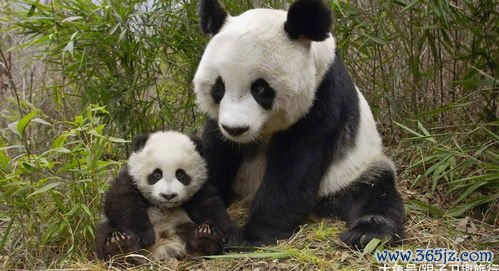 美区下载欧易_欧易官网登录入口